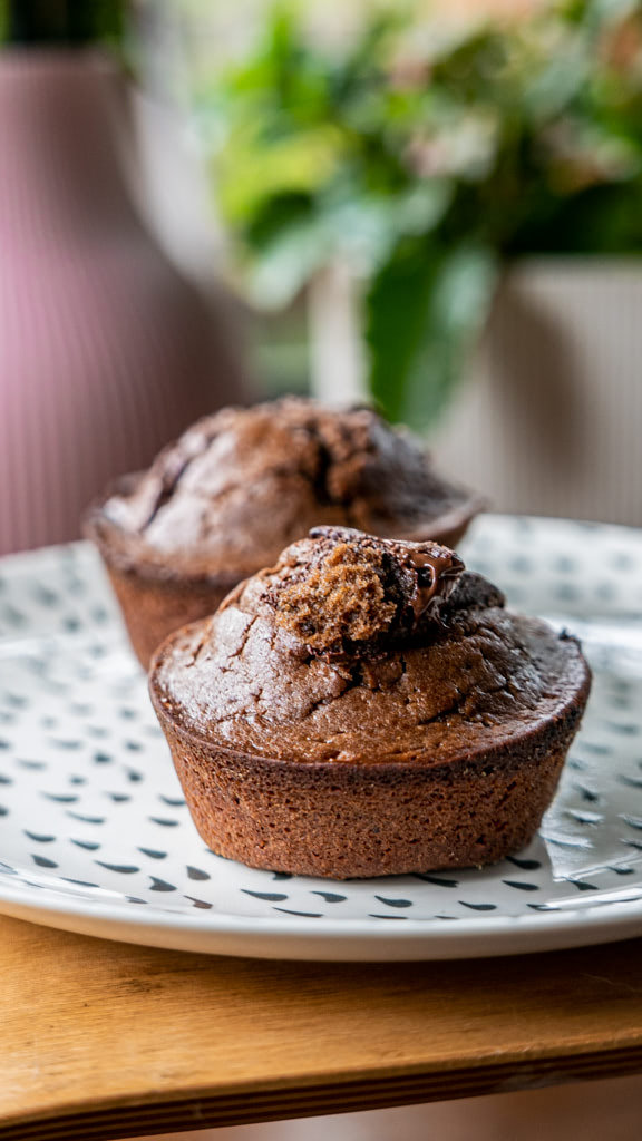 mini-muffin-chocolate-panitier-01